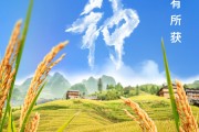 遵化市芒种节气小知识来了 夏种作物都有什么？